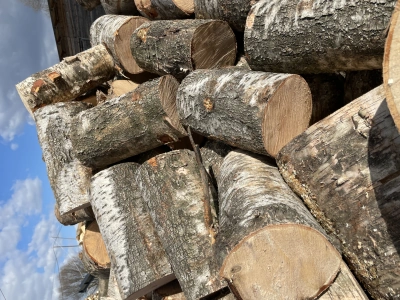 Дрова ольховые